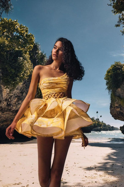 Gracefully Styled Dress for Any Occasion