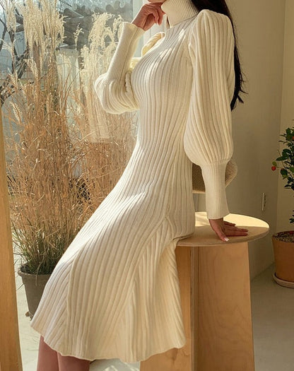 Elegantly Styled Dress for Everyday Wear