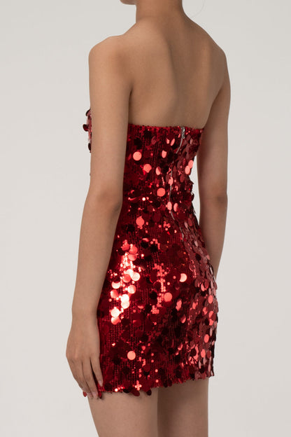 Gracefully Styled Dress for Any Occasion