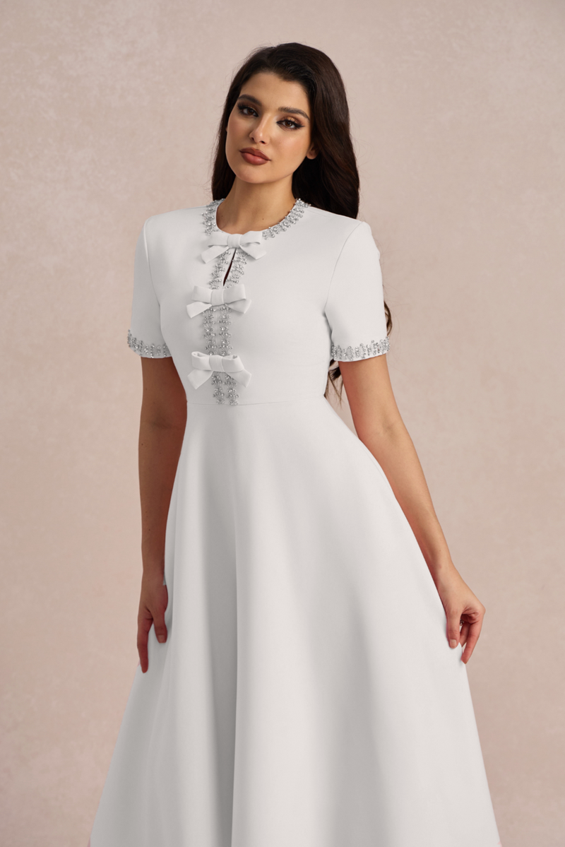 Sophisticated Dress with a Clean Classic Look