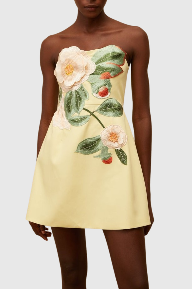 Beautifully Balanced Dress with Timeless Character