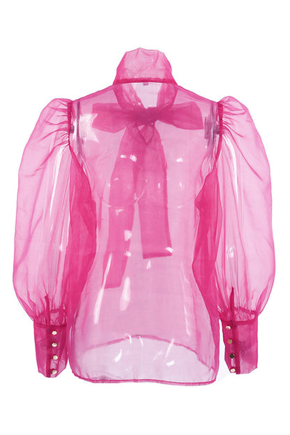Gracefully Styled Top for Any Occasion