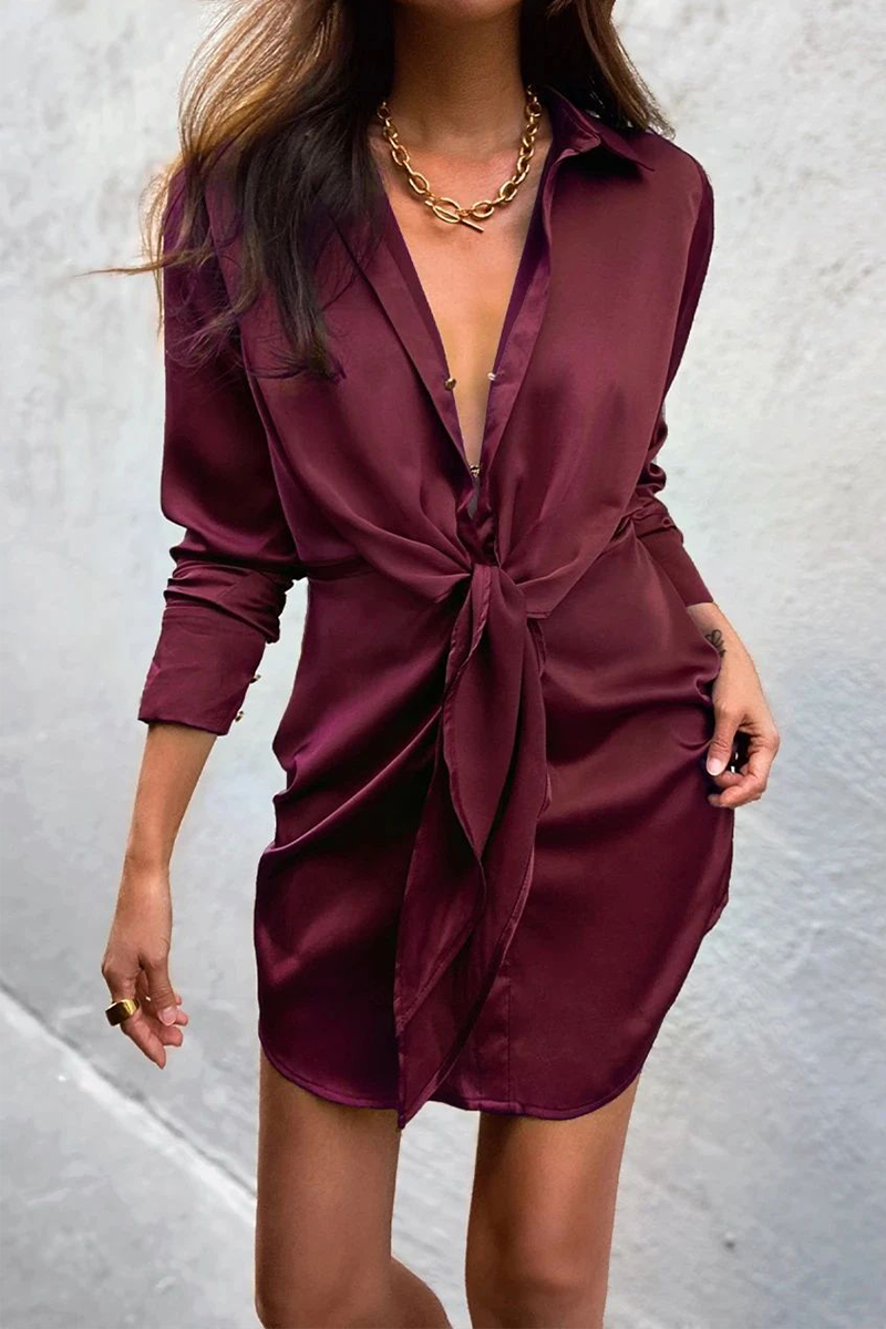 Elegantly Styled Dress for Everyday Wear