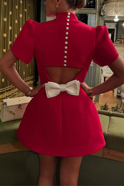 Beautifully Crafted Dress in a Classic Style