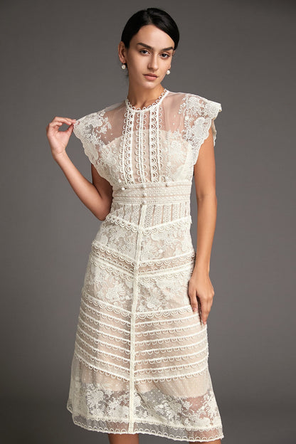 Sophisticated Dress with a Clean Classic Look