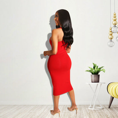 Sophisticated Dress with a Clean Classic Look