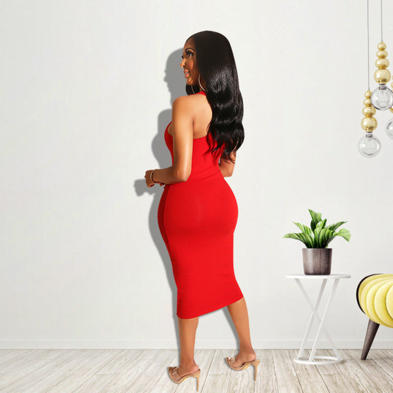 Sophisticated Dress with a Clean Classic Look