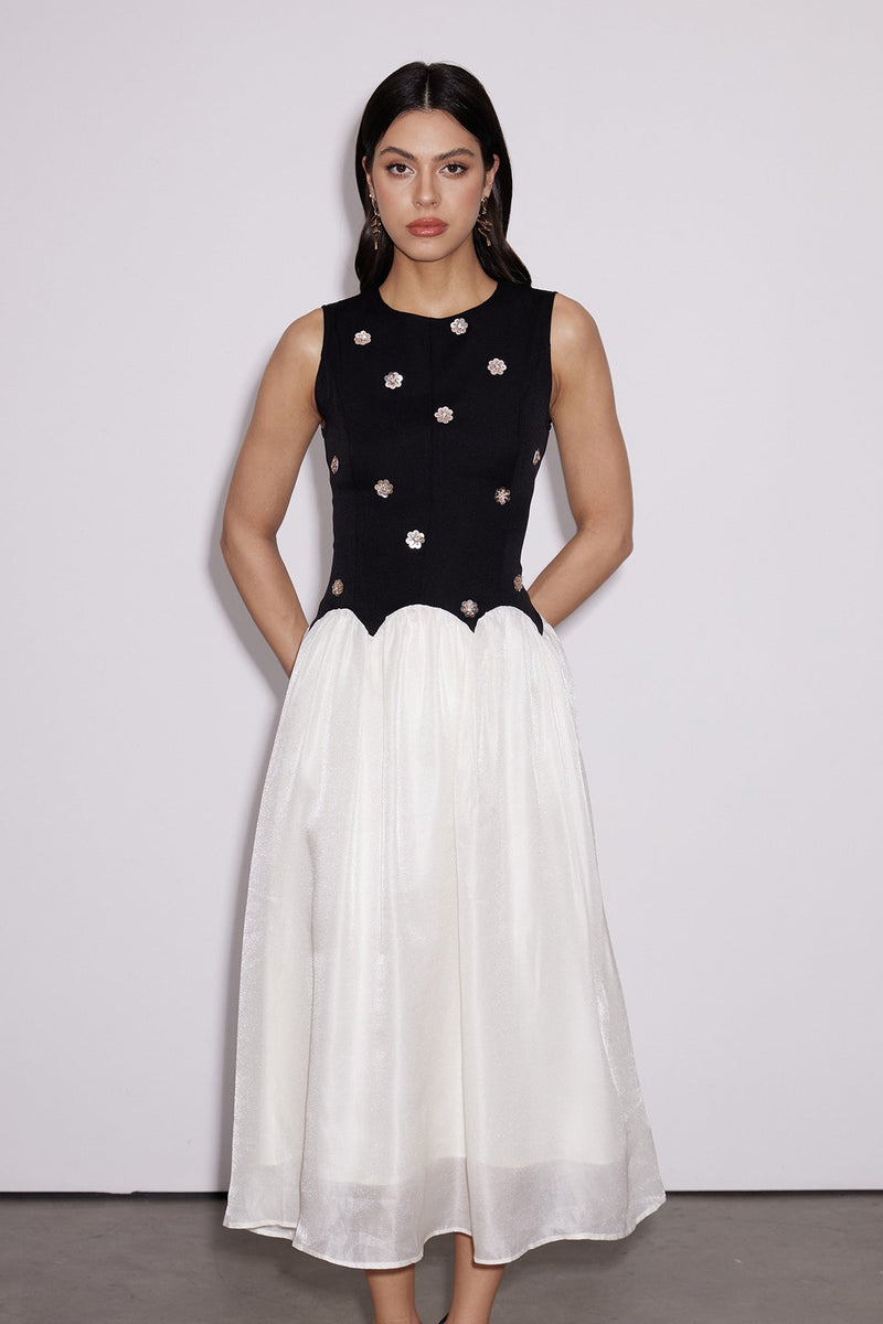 Beautifully Balanced Dress with Timeless Character